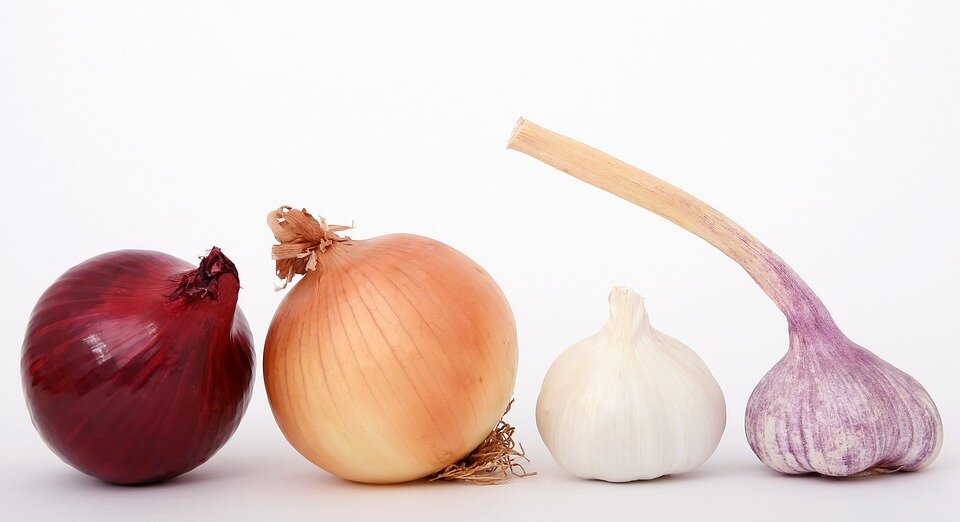 onions improve immunity